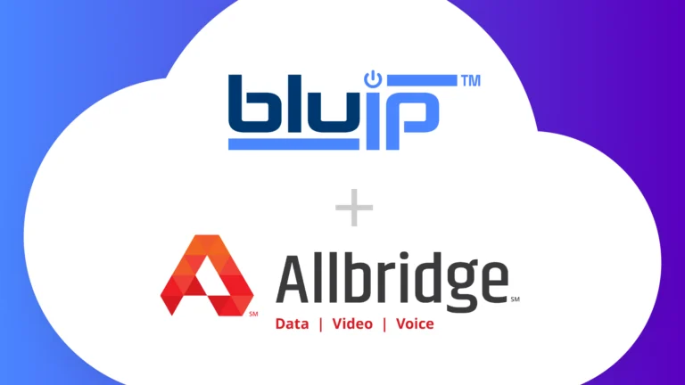 Bluipallbridge